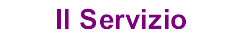 Il Servizio